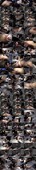 7.jpeg