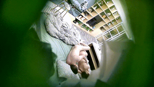 4.gif